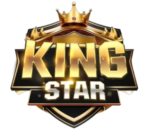 kingstar